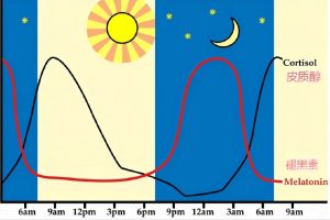 晚上11点后睡觉的人，这种睡眠激素正在流失